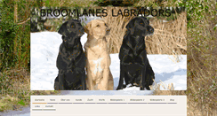 Desktop Screenshot of broomlanes-labradors.de